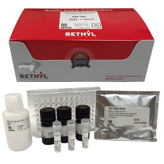 本溪Bethyl Laboratories 小鼠IgG3 ELISA试剂盒