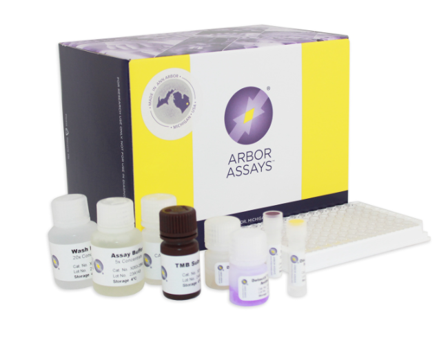 鞍山Arbor Assays LSD1多克隆抗体