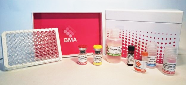 朝阳BMA Biomedicals 兔 IgG，多克隆，二抗