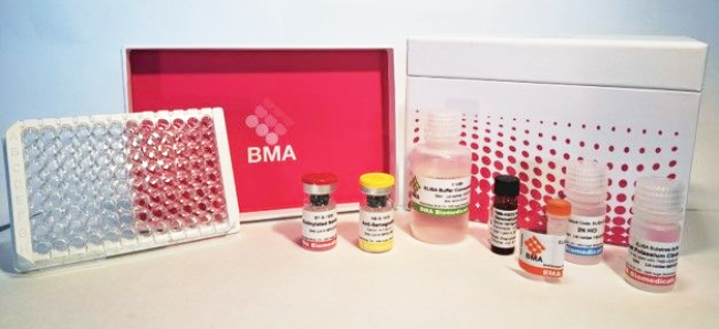 北京BMA Biomedicals a-CGRP，多克隆，一抗