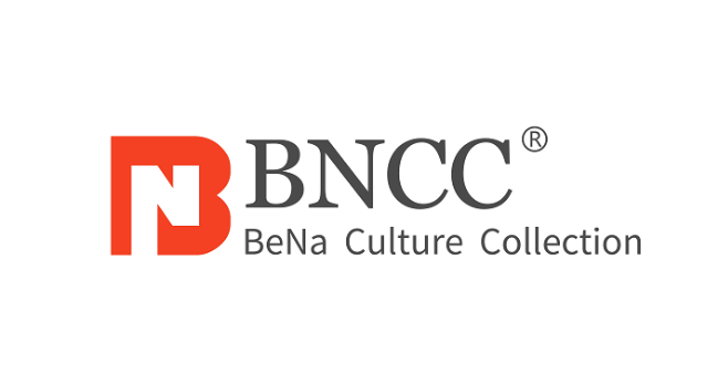 朝阳BNCC CGM1人EB病毒转化的B细胞
