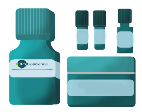 通州BPS Bioscience USP8抑制剂筛选测定试剂盒